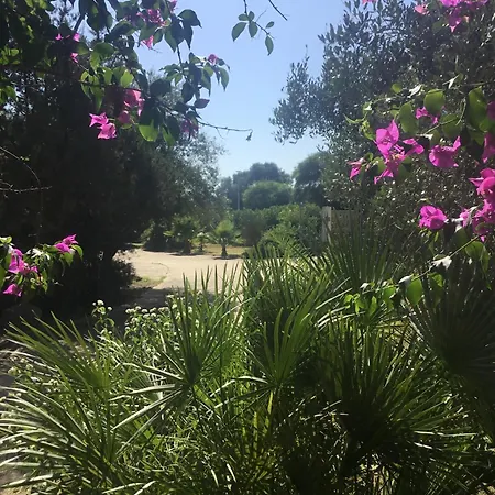 Casa Del Mar Portopino, Pt